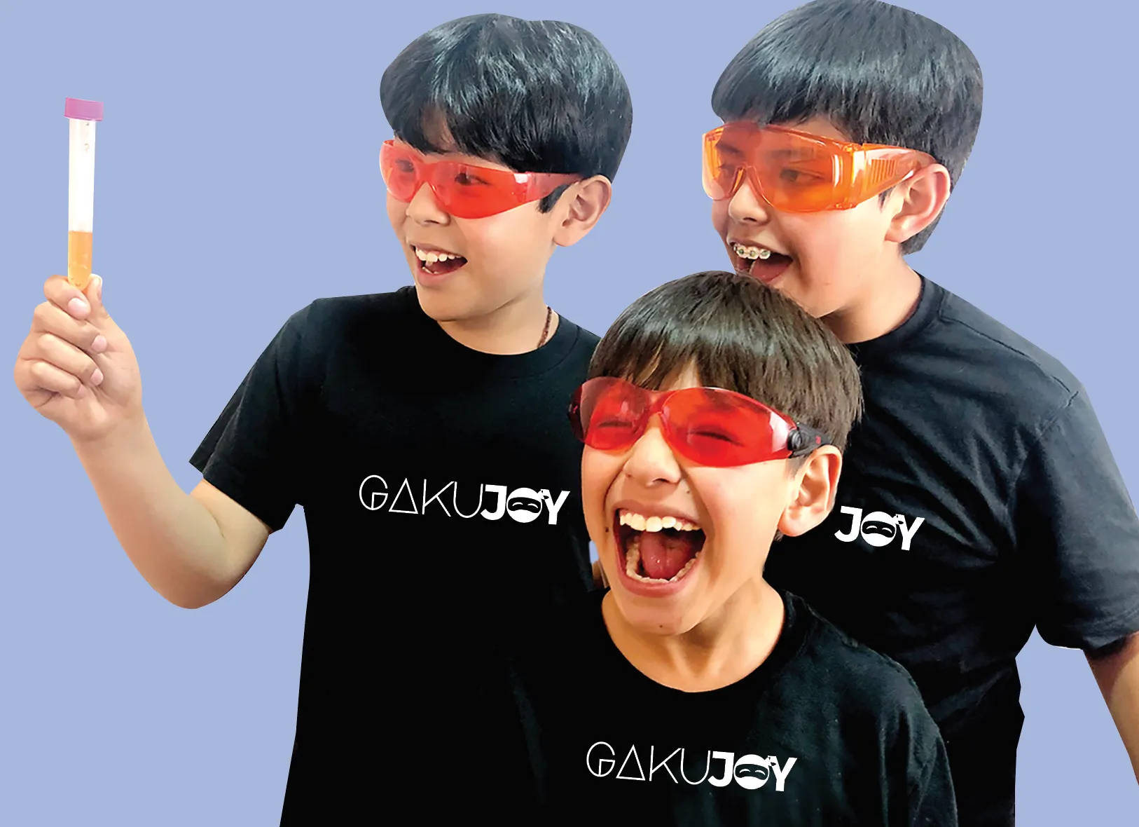 Método Japonés GakuJoy