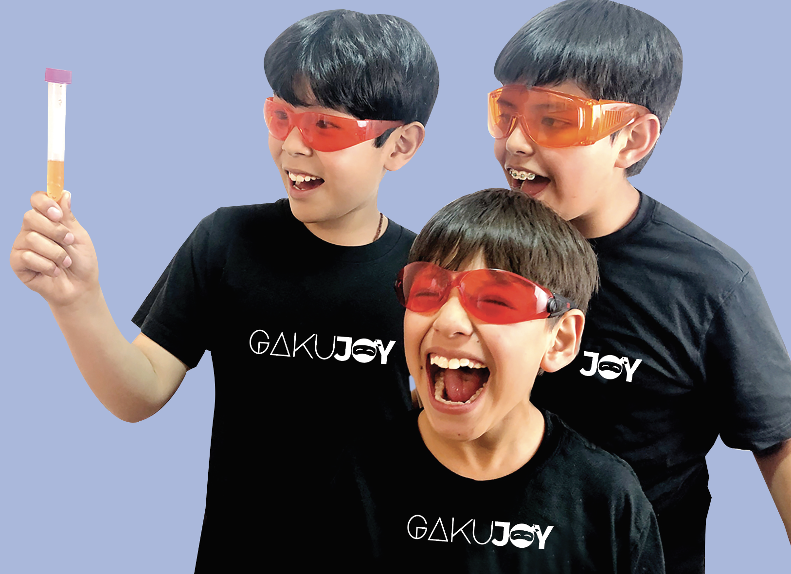Método Japonés GakuJoy